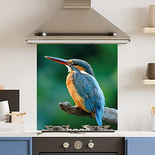 Premium 70 cm x 75 cm Blue Kingfisher Glass 6mm Kitchen Splashback Heat Resistant Toughened Polished Edges - Back Splash Back Coloured Hob Painted Tempered Splashback