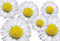 Autoaufkleber, Blumendesign: Flower Set 06-Mini-36 Stück