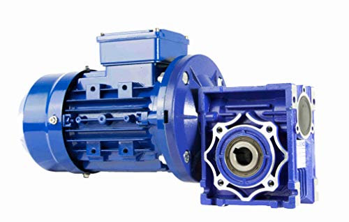 Getriebemotor Dreiphasiger 220V / 400V 0,75PS / 0,55KW, 46 RPM DE SALIDA