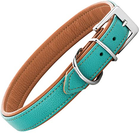 Schnüffelfreunde Lederhalsband Fun Line - Hundehalsband für den großen, mittleren und kleinen Hund - Halsband für Hunde aus Leder - gepolstert & robust (M - 28-36cm, Türkis-Braun)