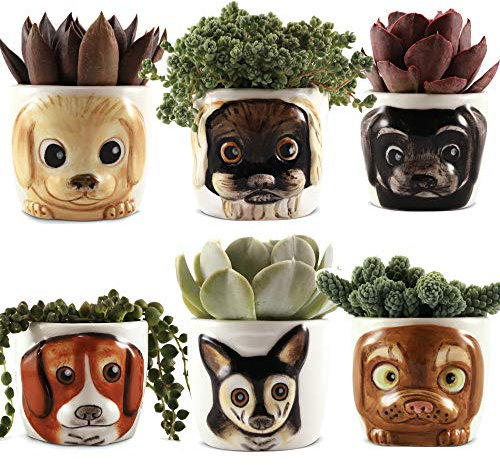 Window Garden Hunde-Pflanzgefäße Set – Niedlicher Tier-Pflanztopf für Sukkulenten, Blumen, Kräuter, Mini-Hundepflanzgefäße, Erntedankfest, Einweihungsfeier