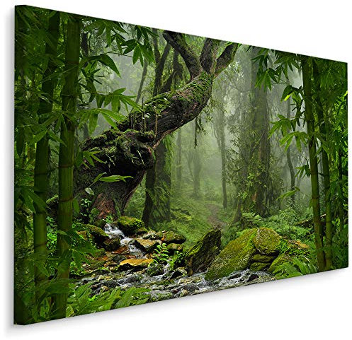 Muralo Leinwandbilder 70x50 Natur Wald Dschungel Leinwand Wandbild Kunstdruck Tropen Exotisch Bäume Pflanzen Schlafzimmer Wohnzimmer Wanddekoration Design XXL 334 Br. 70 cm x Hö. 50 cm