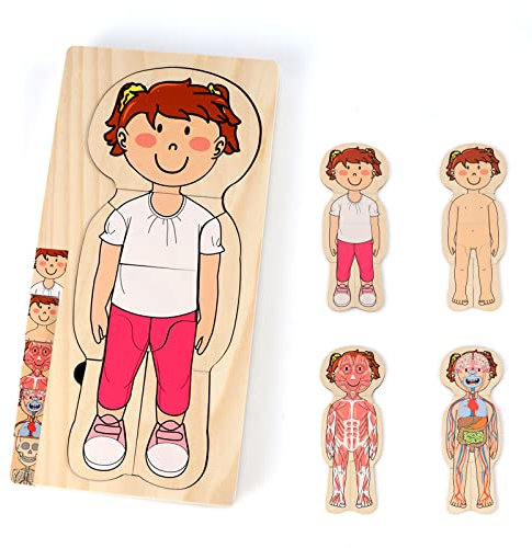 KABENFIS 29-teiliges Mädchen-Anatomie-Spielset Holzkörperpuzzle für Kinder, Jungen und Mädchen