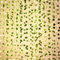 12 Pack 84Ft Artificial Ivy Leaf Garland with 200 LED Fairy String Lights,Fake Green Leaves Hanging Vine Faux Flowers Decoration for Indoor,Outdoor,Kitchen,Garden,Office,Wedding,Wall