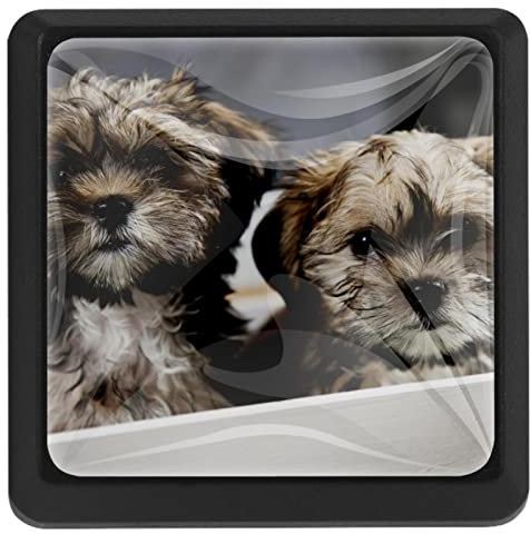 BUJOJUB Welpen Hund, 3 Stück Schubladenknöpfe, Schubladengriffe, Schrankknöpfe, Möbelknöpfe, Kommodenknöpfe für Küche Schrank