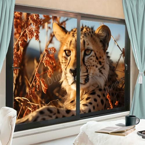 Gepard Gepard Geparden Fensterfolie Sichtschutzfolie Gras Natur Fensterfolie 90x160cm 2 Stück