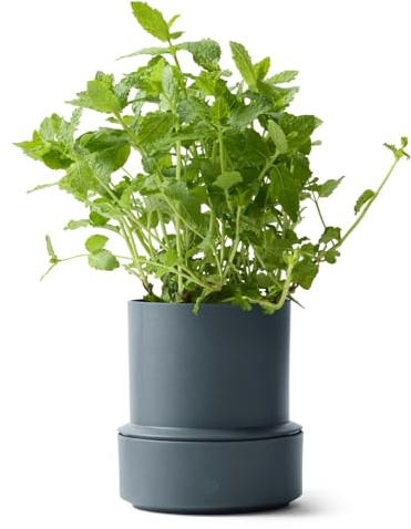 Crushgrind Billund Blumentopf mit Bewässerungssystem Blau | Self Watering Pot für Kräuter & Pflanzen mit 9 cm Ø | Selbstbewässerungstopf aus hochwertigen, nachhaltigen Materialien (Blueberry)