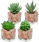 Hollyone 4 Pcs Small Artificial Plants in Pots, 5x10cm Fake Succulent Potted, Faux Cute Decor for Home, Office, Table, Desk, Bedroom, Bathroom