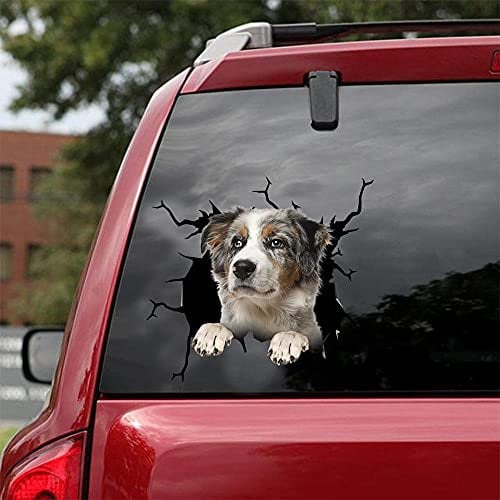 Ocean Gift Australian Shepherd Auto Decals, Hund Auto Aufkleber 2 Stück - Realistische Australian Shepherd Aufkleber für Autofenster, Wände Serie 106 Größe 30,5 cm x 30,5 cm