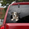 Ocean Gift Australian Shepherd Auto Decals, Hund Auto Aufkleber 2 Stück - Realistische Australian Shepherd Aufkleber für Autofenster, Wände Serie 106 Größe 30,5 cm x 30,5 cm