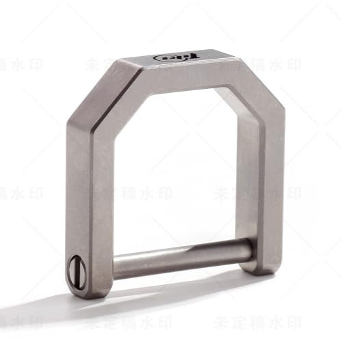 TIKIDESIGN Titan Schlüsselanhänger D-Ringe, Schäkel Schraube Schlüsselring, Schlüssel Organizer für Autoanhänger, Hufeisen Schlüsselanhänger Zubehör für DIY (Sandgestrahlt-L)