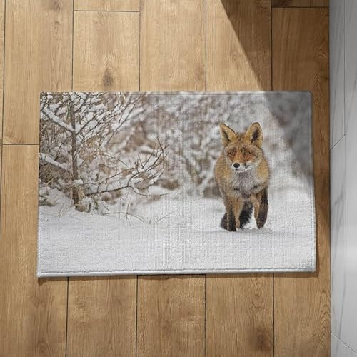 EHOMERY Schmutzfangmatte Außen Groß Türmatte Herbst Fuchs Fußmatte Bunt Fussmatte Aussen Schmal 40x60cm, rutschfeste Dekorative Fußmatte Aus Plüschbaumwolle