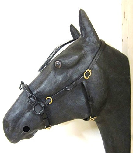 PS Pferdeartikel Französischer Kappzaum Cavecon/Cavesson mit D-Ringen Soft - Gr. COB Farbe Schwarz mit goldenem Beschlag