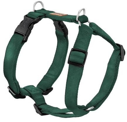Koch Premium Geschirr Grün S 25mm Gurtbreite. Immer Voll gepolstert, Hundegeschirr 5-Fach verstellbar, verstellbar auch am Bauch