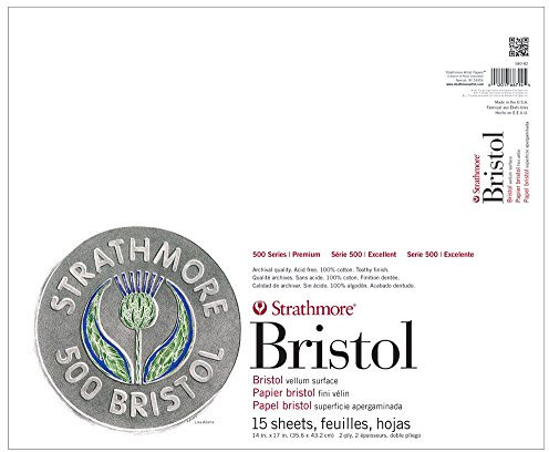 Strathmore (580-82 500 Series Bristol, 2-lagige Pergamentoberfläche, 35,6 x 43,2 cm, Grau, 15 Blatt