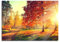 Pixxprint Glasbild, Wandbild aus Echtglas, Weg durch bunten Herbstwald, 100x70 cm, inkl. Aufhängung und Abstandshalter