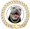 XYHAOAI Dog Chain Silver Cuban Collars, Diamond Cuban Collar Walking Metal Chain Collar with Design Secure Buckle, for Small Medium Large Dogs Cats,Gold,26inch 65cm