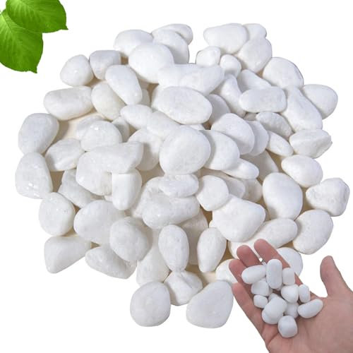 OUTALIZ Galets, Galets de Jardin, Pierres Décoratives pour Plantes, Pierres de Rivière L'artisanat, pour L'aménagement Paysager, Maison, Décoration de Jardin, Projets Artistiques 2-4 cm, 1 kg(Blanc)