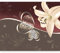 Fototapete - Tapete Blumen Lilien 150x116 cm - Foto Tapete Schlafzimmer Wohnzimmer Moderne Vliestapete XXL Wandtapete Motivtapeten Bildtapete 3d Effekt Wand Dekoration - Ornament Herz Natur bokeh