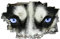 Wolf 3D Wandtattoos Durchbruch Wandbild Tier Selbstklebend Kinderzimmer Aufkleber Wandaufkleber Augen Abnehmbare Wandsticker für Kinderzimmer Junge Mädchen Teenager Zimmer Wohnzimmer Schlafzimmer