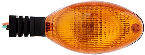 Turn signal rear right