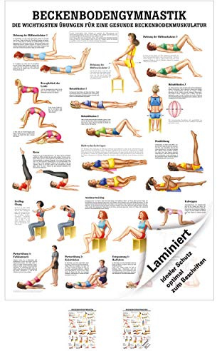 Sport-Tec Beckenbodengymnastik Mini-Poster Anatomie 34x24 cm medizinische Lehrmittel