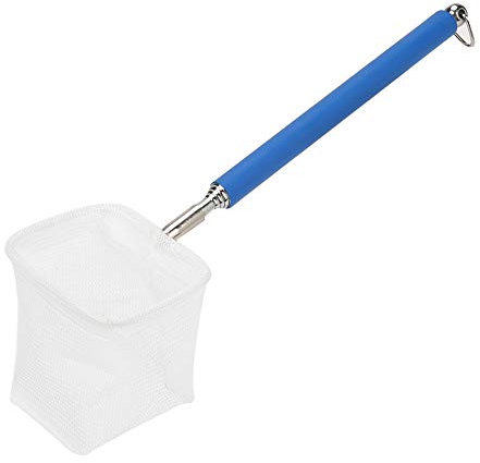 Fangnetz Shrimp Net Fischnetz für Aquarium Aquarium Kescher Net Tragbares Fangnetz Einstellbares Mini Fischernetz mit Teleskopstangen Griff (Blau Quadratisches Netz)
