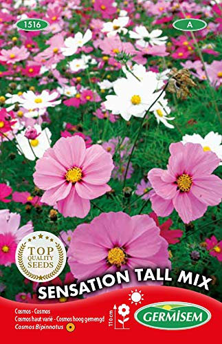 Germisem Sensation Tall Mix Semillas de Cosmos 2 g (EC1516)