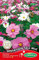 Germisem Sensation Tall Mix Semillas de Cosmos 2 g (EC1516)