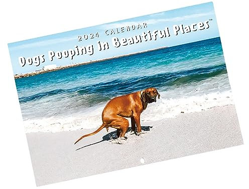Niktule Hundekot Kalender,Hunde Kalender 2024,Wandkackenkalender Humor,Hundekacken 2024 Wand-Monatskalender Hängender Papierkalender,dekorativ für Wohnzimmer,Hotel,Hostel,Esszimmer,Schlafzimmer