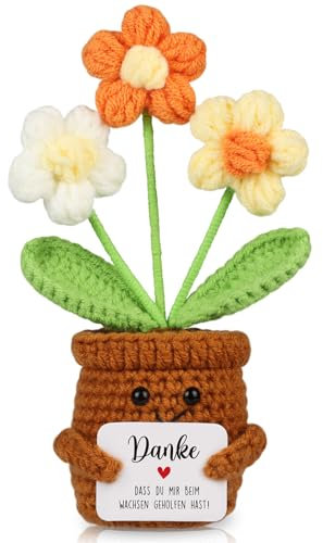 WenmthG Danke Geschenk Positive Kartoffel Deutsch Glücksbringer, Kleines Dankeschön Geschenk für Freunde Kollegen und Famili, Positive Pocket Hug Gestrickte mehrfarbige Blumenpuppe