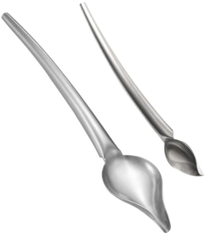 STOBAZA 2pièces Lot de Cuillères à Chocolat avec Bec Verseur pour Dessin Pichet et Pâtisserie Petite et Grande