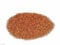 Vanille Rooibos Tee 100g loser TEE Tee-Meyer