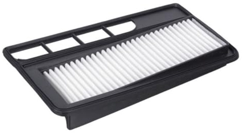Blue Print ADK82229 Air Filter