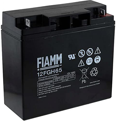 FIAMM Batterie au Plomb Rechargeable 12FGH65 (hochstromfest)