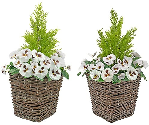 2 x Artificial Rattan Patio Planters All White Faux Silk Pansies with Conifer/Cedar Topiary ideal for Home, Patio, Garden Outdoor Living 60cm/23.5in