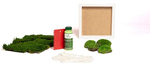DIY Moosbild selber machen, Wandbilder selber kleben, Moosbilder selbst gestalten Do it yourself Set Moos kleben Wanddeko selbst herstellen Komplett-Set Holzrahmen (weiß, 25 x 25 cm)
