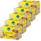 Willi Dungl Bio Ingwer Zitrone / 5er Pack
