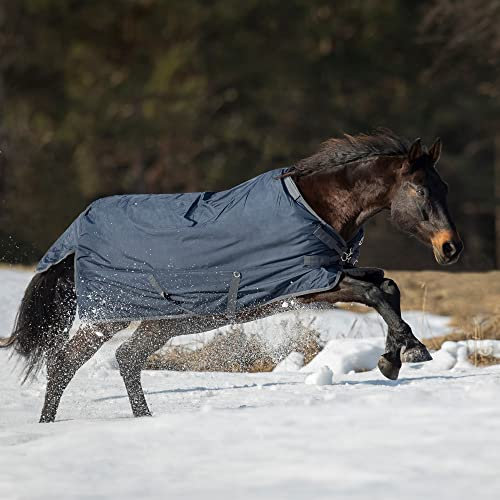 Outdoordecke FLEXIBLE PRO 250
