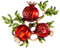 Clataly Grenade broche élégante fruit broche fleur partie robe broche femme fille bijoux