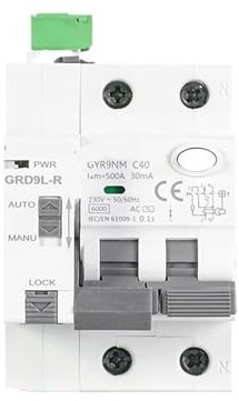 PEGGMZYX Interruttore Automatico di riarmo di Tipo A con Protezione da sovracorrente 40A 30mA Super immunità elettromagnetica(Type AC 2P 40A 30mA)