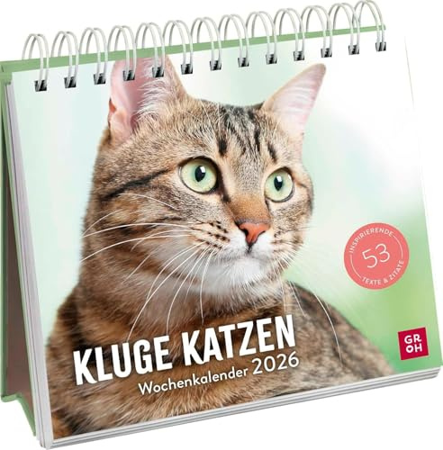 Kluge Katzen - Wochenkalender 2026 - Groh-Verlag - Aufstellkalender - Tischkalender mit 53 zauberhaften Fotos für jede Woche - 17 cm x 18 cm