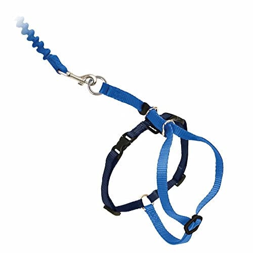 PetSafe Come with Me Kitty Geschirr und Bungee-Leine, Geschirr für Katzen, groß, Königsblau/Marineblau, CWMK-L-RYL