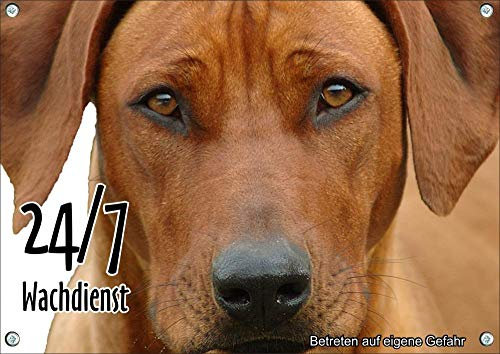 Petsigns Hundeschild - mit Rhodesian Ridgeback RR - uv-beständiges Warnschild 24/7, DIN A3