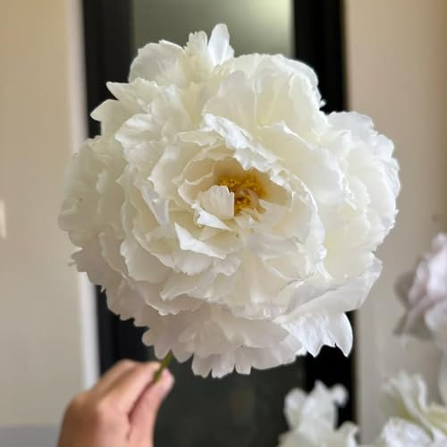 4 pcs Pfingstrosen Zwiebeln - Pflanzen Deko FrüHlingsblumen Zwiebeln Peony Bulb, Blumenzwiebeln Mehrjährig Winterhart Pflanztopf Pflanze Geschenke Für äLtere Menschen KräUtergarten