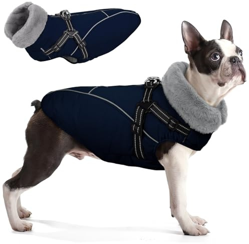 Queenmore Hundemantel Große Hunde, Warm Wasserdicht Hunde Wintermantel | 3-Schicht Ausführung, Für Französische Bulldogge/Cocker Spaniel/Windhund, Winterspaziergänge (Marineblau, L)