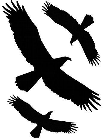 carstyling XXL Aufkleber Kontur Vogel-Sortiment 3 Stück