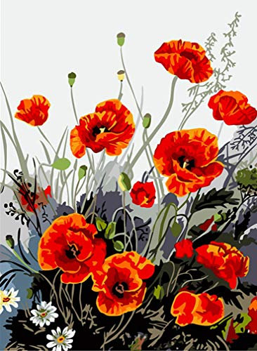 YEESAM ART DIY Paint by Numbers for Adults Beginner Kids, Red Poppy Flower 16x20 inch Linen Canvas Acrylic Stress Less Number Painting Gifts