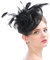 Épingles à cheveux Femme Accessoire Coiffure Mariage Chapeau Bibis Fascinator Bride en Maille Élégantes Serre-tête pour Cocktail Derby Cérémonie Photographe Fête Soirée Déguisement,Noir,Taille unique