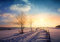 wandmotiv24 Fototapete Schnee Zaun Bäume Sonne, XXL 400 x 280 cm - 8 Teile, Wanddeko, Wandbild, Wandtapete, Himmel Wolken Feld M6813